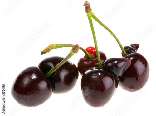 ridiculous berries of a sweet cherry