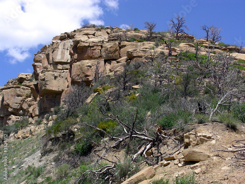Φωτογραφία rock, trees and sky