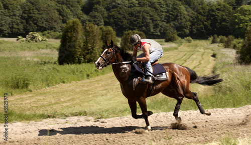 the jockey