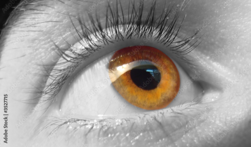 Obraz premium oko