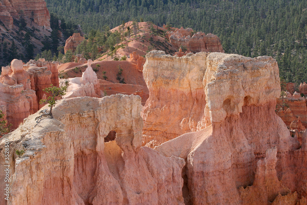 bryce national park