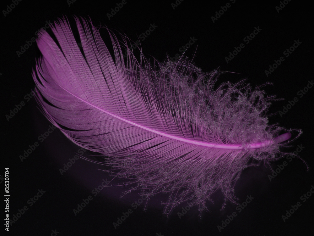 Naklejka premium pióro