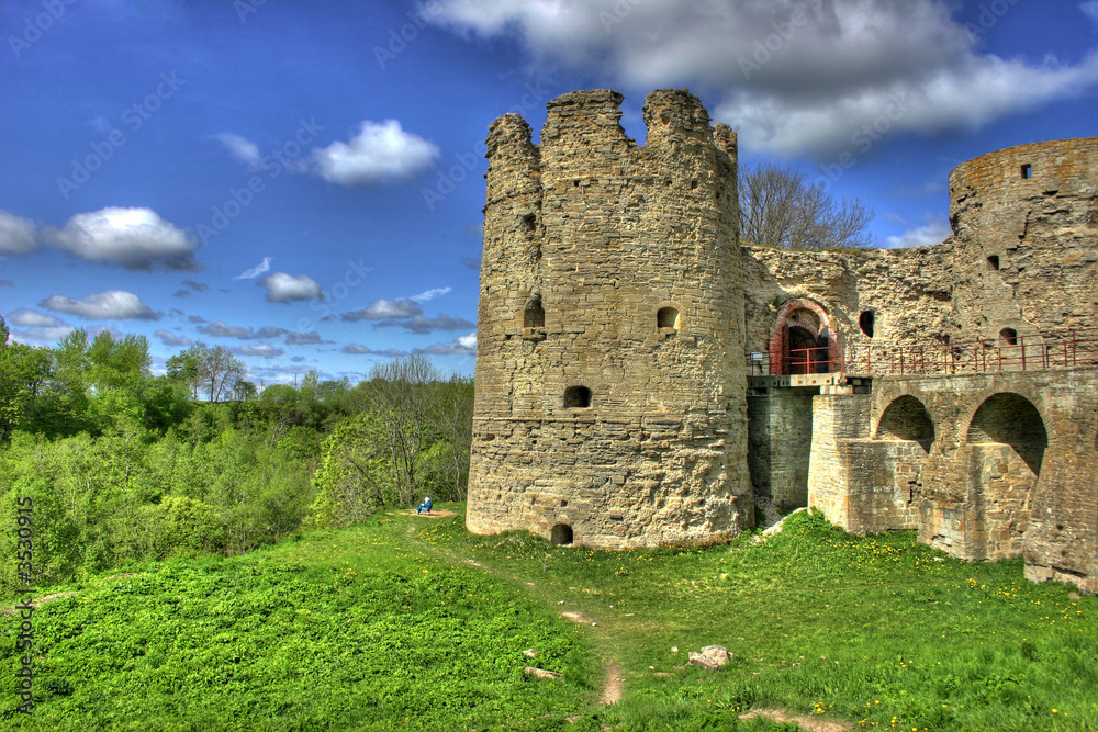 medieval castle medieval castle
