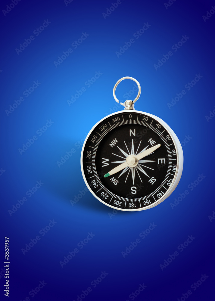 magnetic compass magnetic compass
