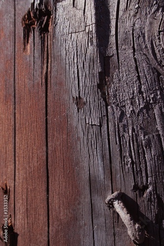 burnt wood