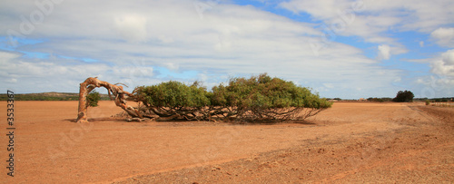 australien_07_01100,01 photo