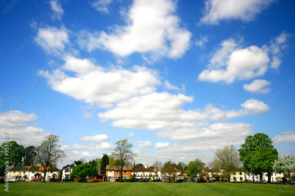 View of country village in lovely summer's day