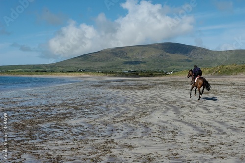 Horse running on beach
