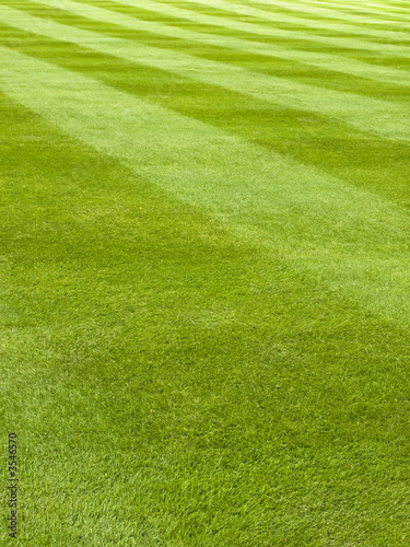 Large lawn of a grass mowed in stripe pattern