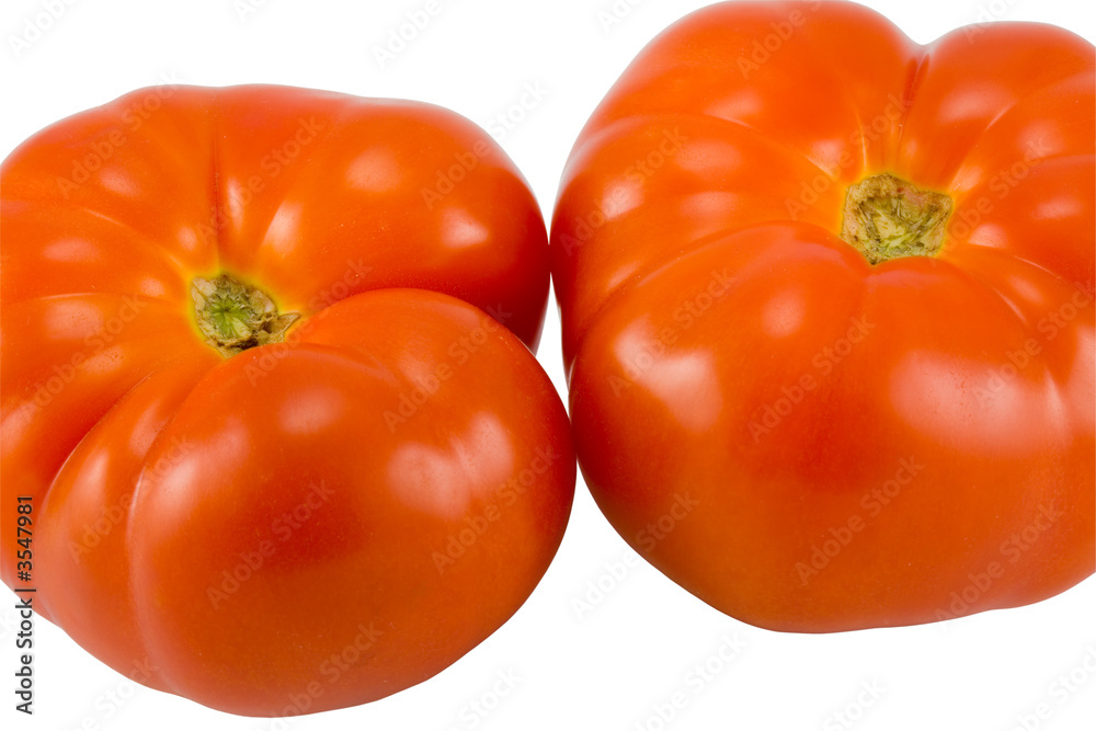 the two red tomatoes isolated on white background the two red tomatoes isolated on white background