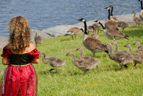 Tela little girl in a red dress staring at geese