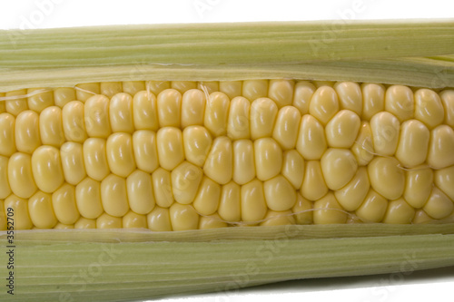 Corn 7