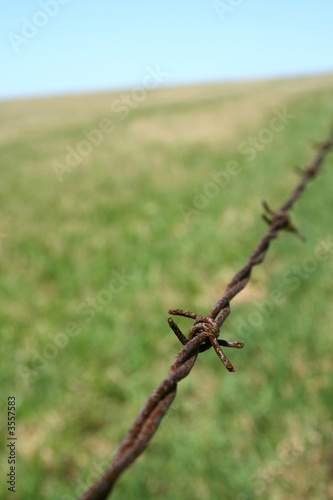 Rusty barbed wire fence in the field. Shallow depth of field. © Studio Light & Shade