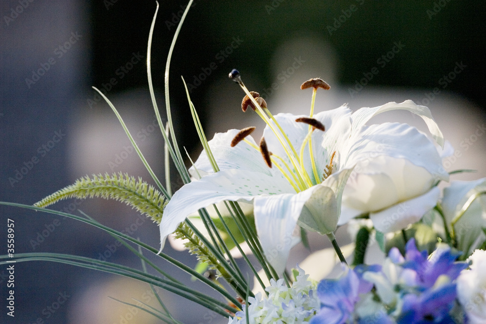 Obraz premium fleur