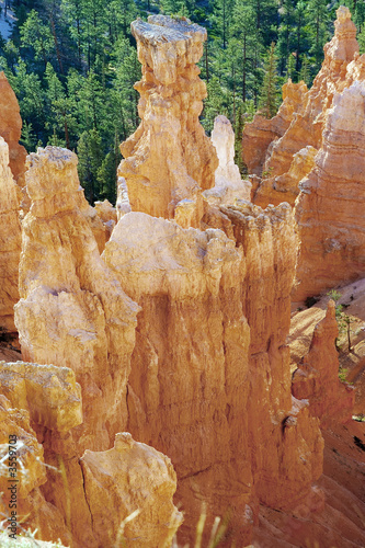 Golden rock formation