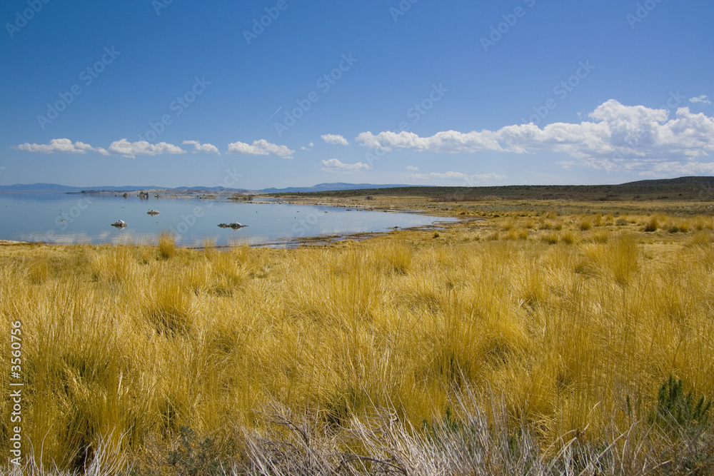 Obraz premium Tufa formations at Mono Lake in USA
