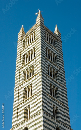 Tower in medieval tuscan town of Siena