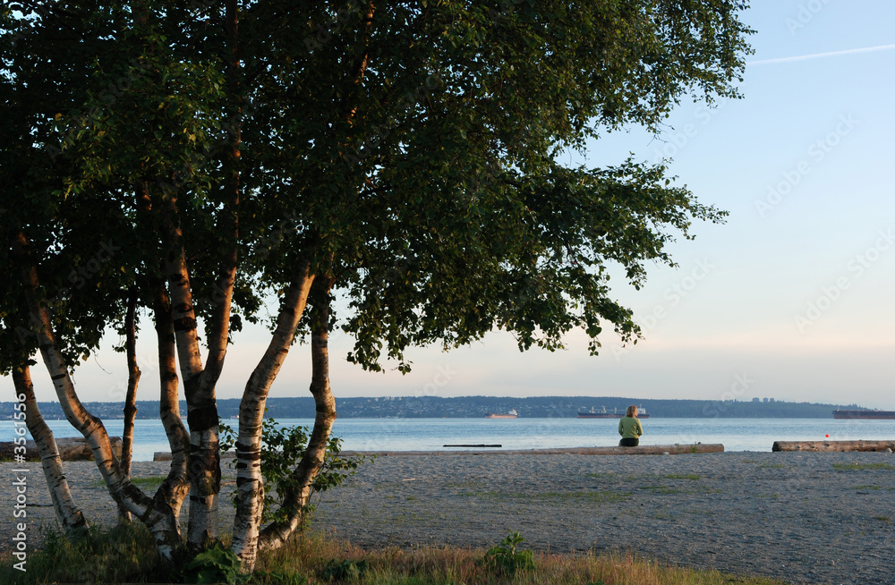 beach afternoon