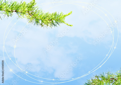 Obraz na plátně fur-tree branch on a blue sky background