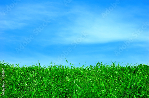 Green field and a blue sky with clouds