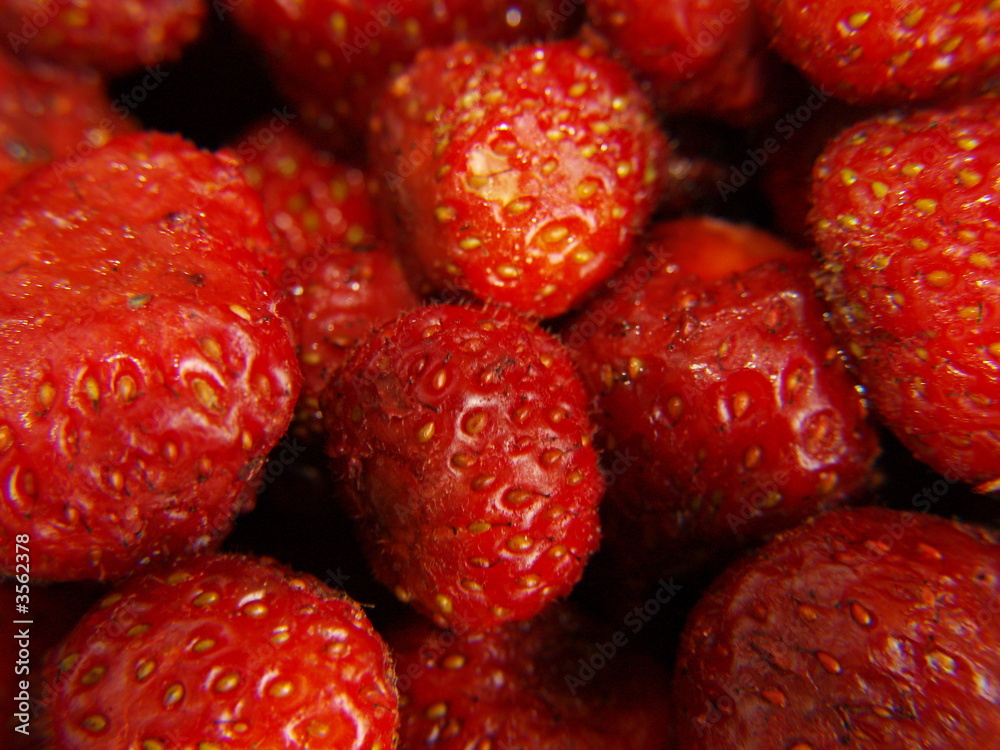 strawberry strawberry