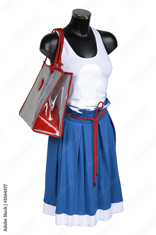 Skirt, vest and bag on a white background