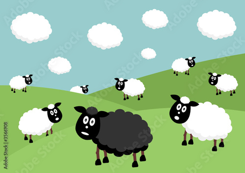 Flock of sheep with the black sheep of the family