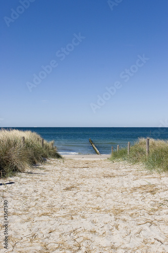 Die Weite der Ostsee mit sauberen Sandstrand.