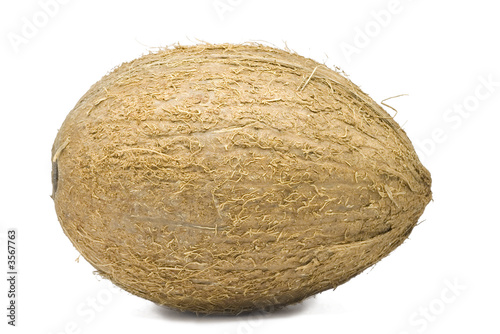 Coconut isolated on white with shadow