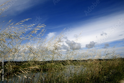 Marais salants  photo