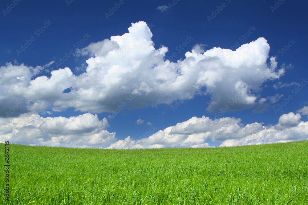 up the hill towards gorgeous sky, focus is set on horizon line up the hill towards gorgeous sky, focus is set on horizon line