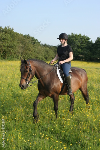 Horse Riding in Field