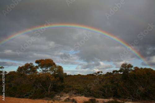 Regenbogen