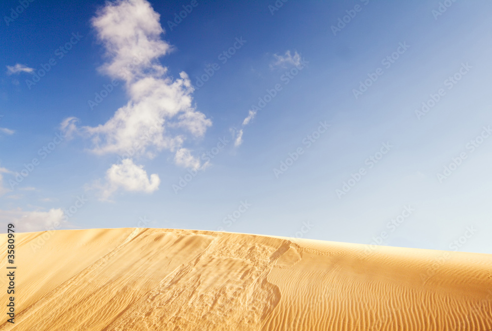 Fototapeta premium goldene sanddüne auf fuerteventura
