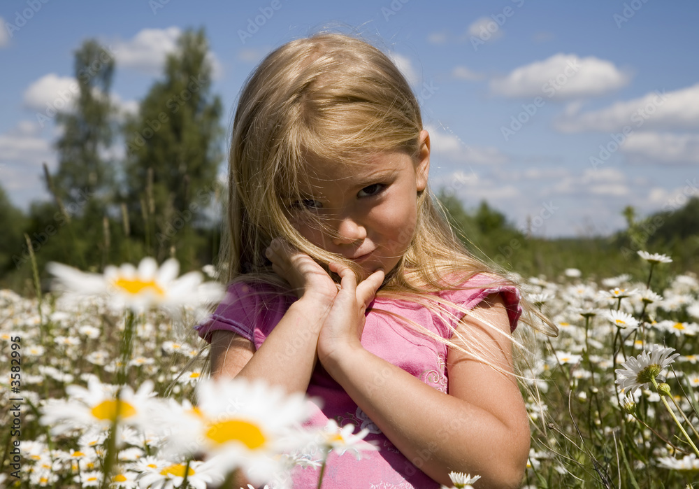 little girl in camomile field little girl in camomile field