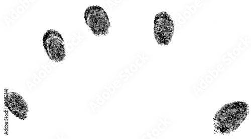 5 individual fingerprints (Vector Format)
