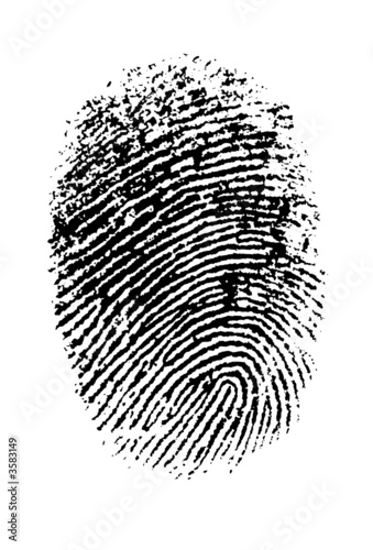 Highly detailed vector fingerprint
