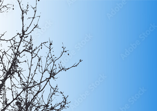 paisaje