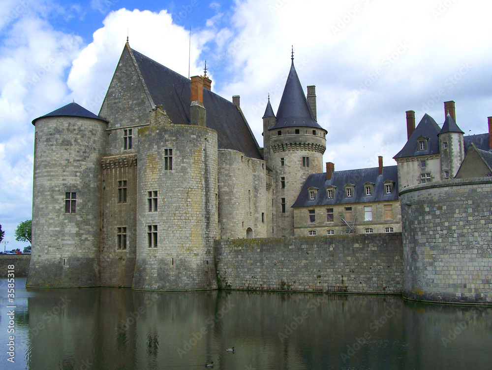 chateau de sully-sur-loire 3