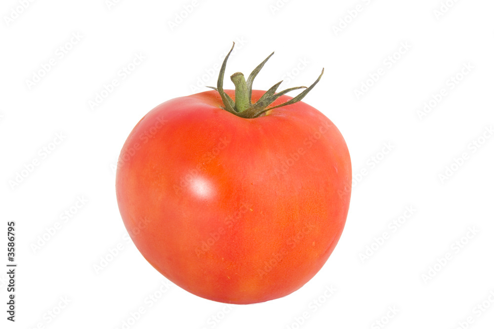 Tomato