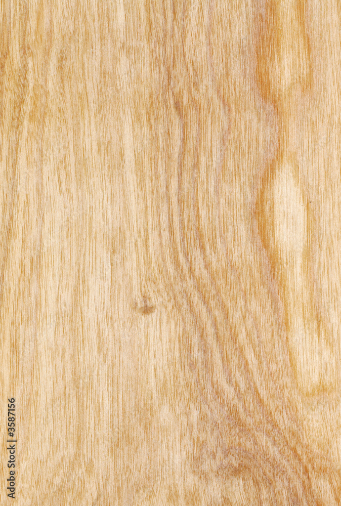 Natural Finish Maple Wood Grain Textured Background Stock Photo Adobe Stock