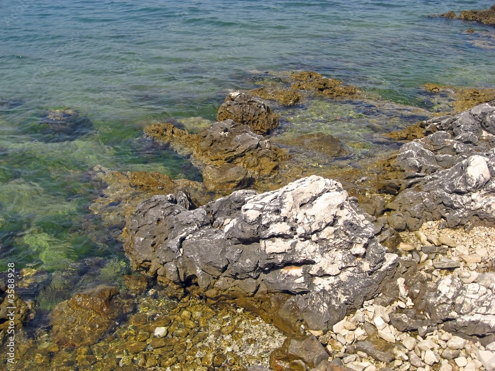 stone coast stone coast