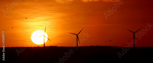 Wind energy and sunset photo