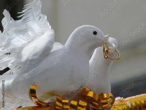 Wedding decorations with two doves and gold rings 1