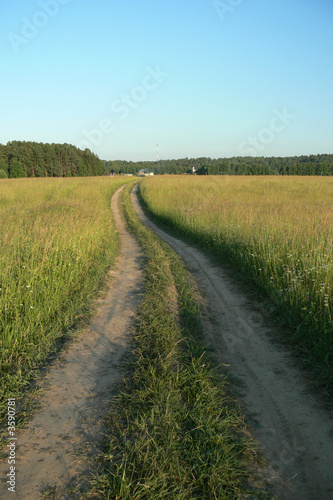 Road in the countryside