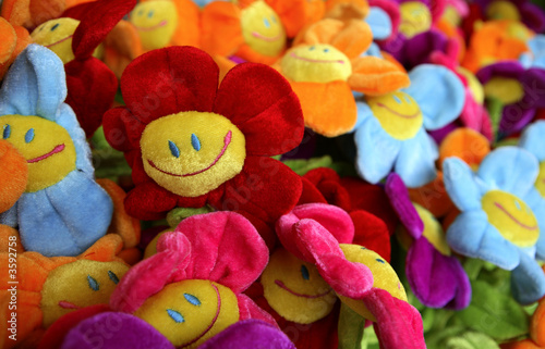 colourful sunflower and her friends
