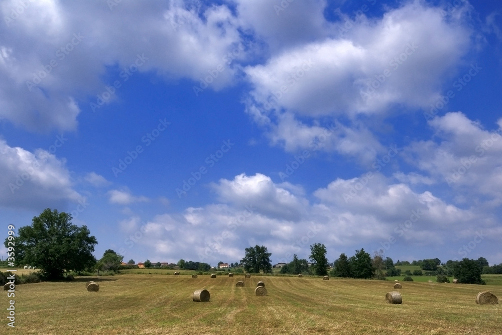 rouleaux d'été