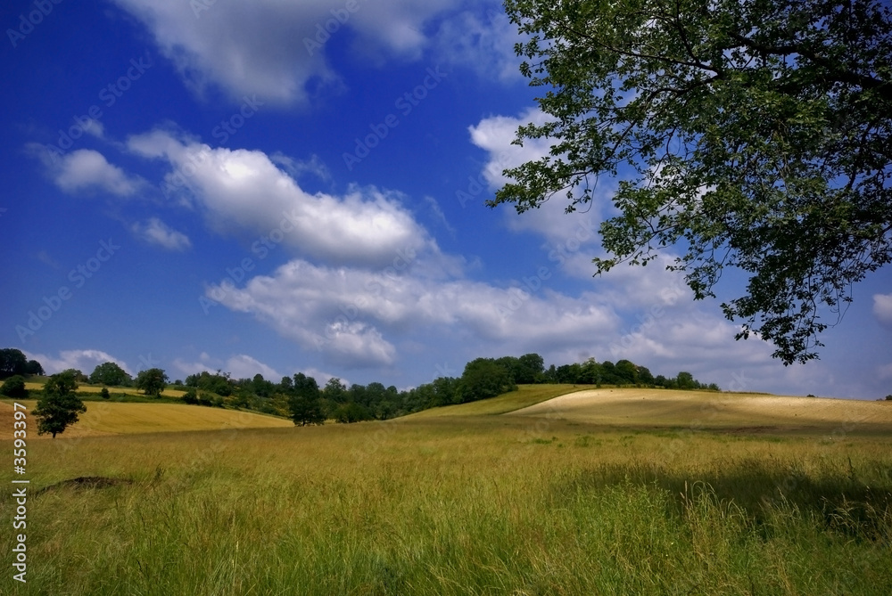 la campagne en été la campagne en été