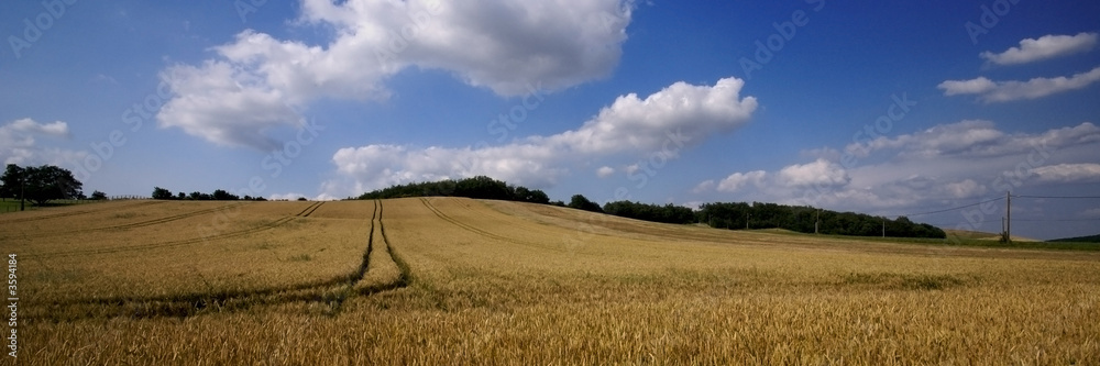 panorama et blé