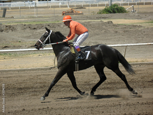 race horse and rider © elden